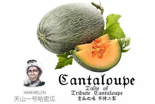 娱乐吃瓜配乐推荐一下,盘点那些让人欲罢不能的吃瓜配乐