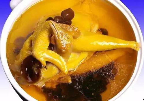 娱乐吃瓜酱鸡汤视频大全,鸡汤视频大全，暖心治愈你的日常